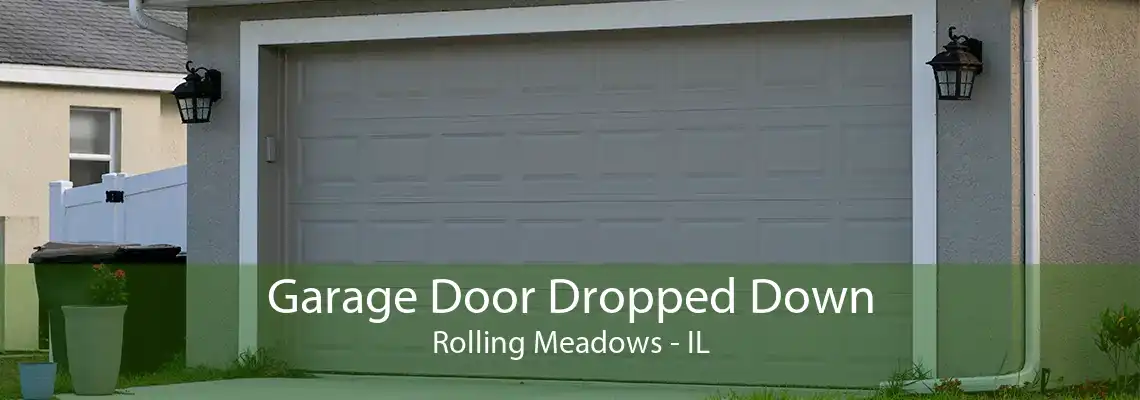 Garage Door Dropped Down Rolling Meadows - IL