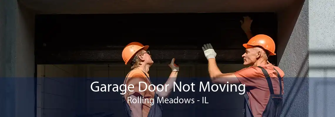 Garage Door Not Moving Rolling Meadows - IL